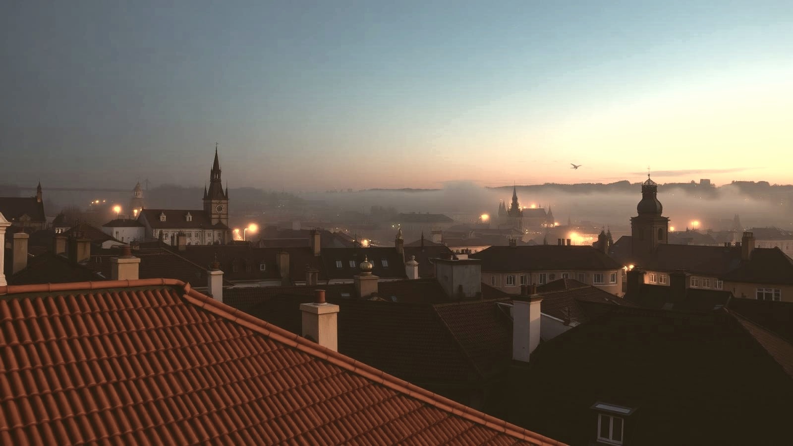 Pražské střechy